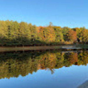 Meet your Posher, Met